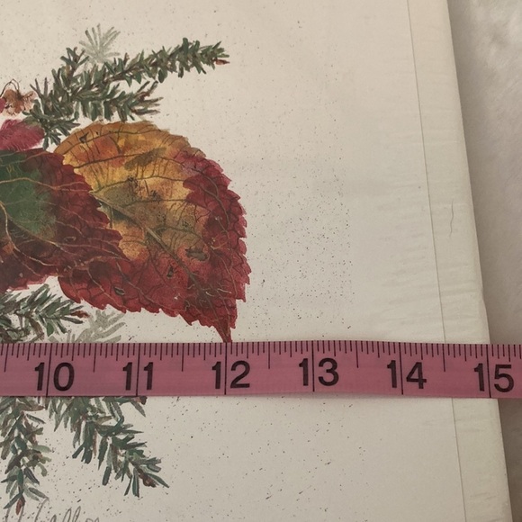 Cyndy Callog 1999 Autumn Junco Print - Picture 12 of 12